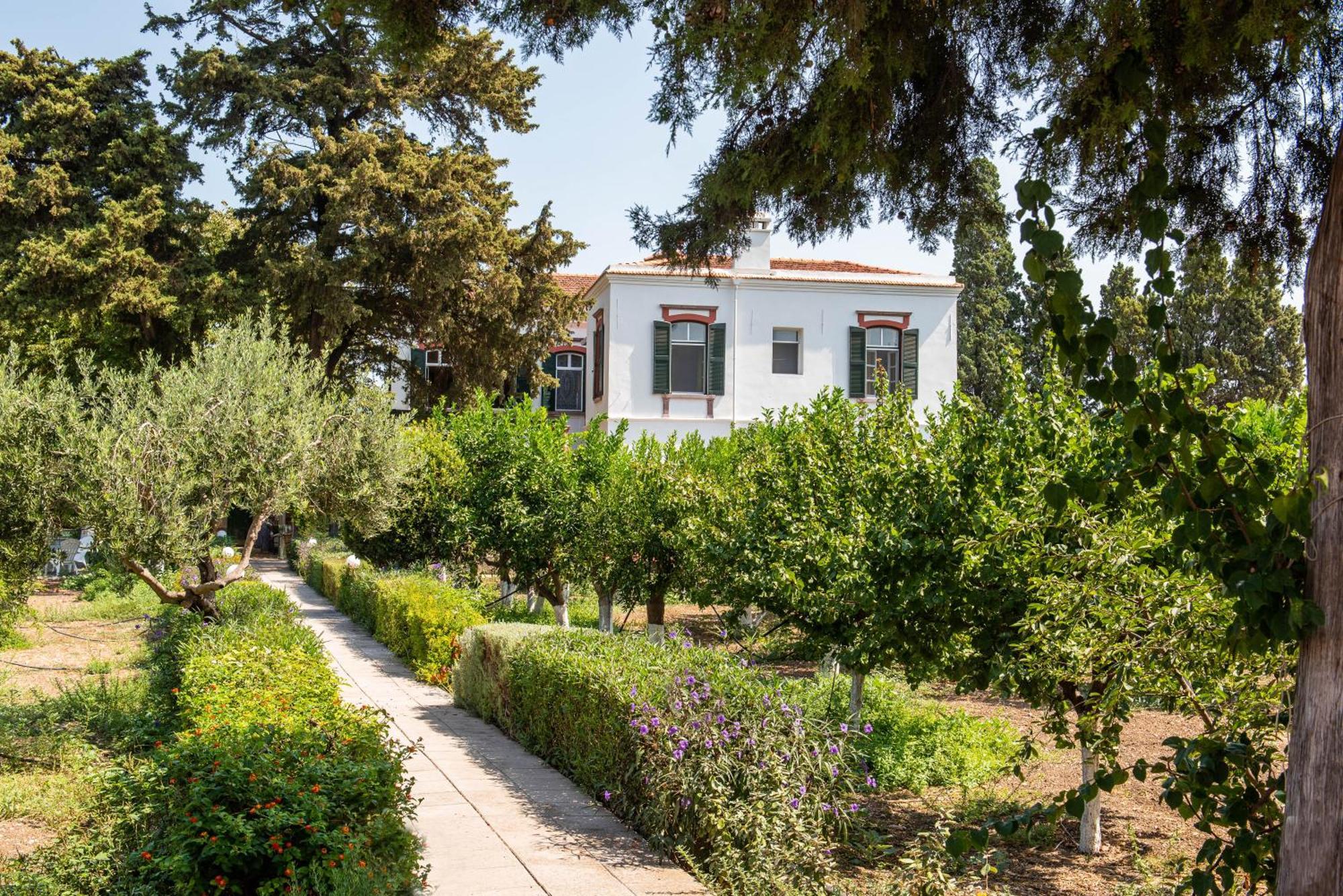 Calvocoressi Estate Quios Exterior foto